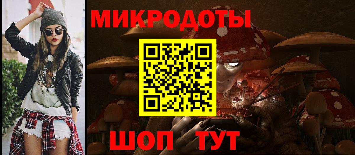 Галлюциногенные грибы Psilocybine cubensis Дальнереченск